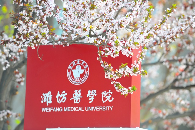 77779193永利官网