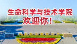 77779193永利官网